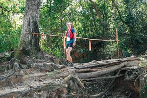 BIB: 
                            <button type="button" onclick="openModal(27744186)" class="btn btn-primary btn-sm float-right btn-popup" data-toggle="modal" data-target=".modal-high-quality">
                        <i class="fas fa-shopping-cart"></i> Add to Cart
                    </button>
                                            <button type="button" onclick="isThisMe(27744186, true)" class="btn btn-success btn-sm float-right btn-popup btn-isme hidden" data-toggle="tooltip" data-placement="bottom" title="นี่คือรูปของคุณใช่ไหม คลิกที่นี่เพื่อเอาเข้าอัลบั้ม">
                        <i class="fas fa-plus"></i> Add to album
                    </button>
                    <button type="button" onclick="isThisMe(27744186, false)" class="btn btn-warning btn-sm float-right btn-popup btn-isnotme hidden">
                        <i class="fas fa-ban"></i> Remove from album
                    </button>